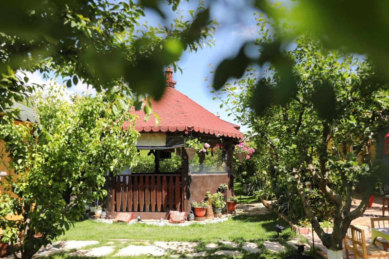 הוילה קורבו Casa Nita מראה חיצוני תמונה