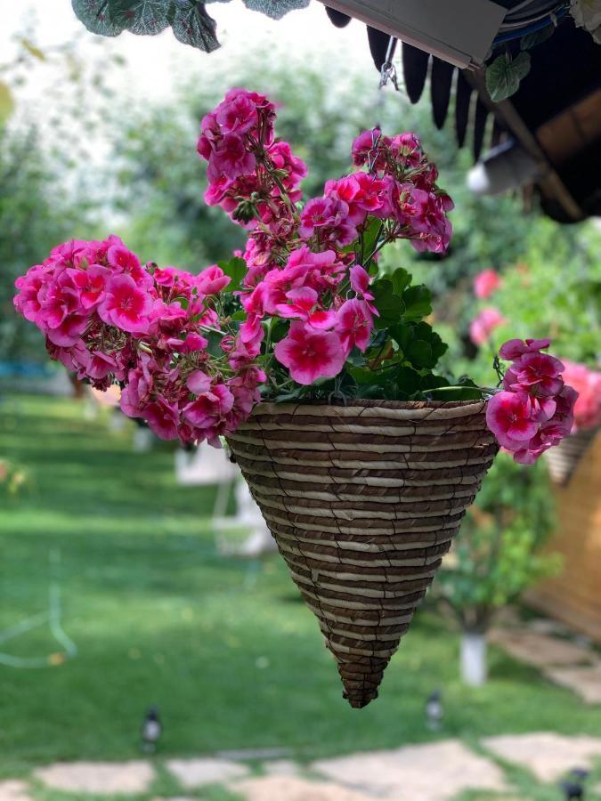 הוילה קורבו Casa Nita מראה חיצוני תמונה